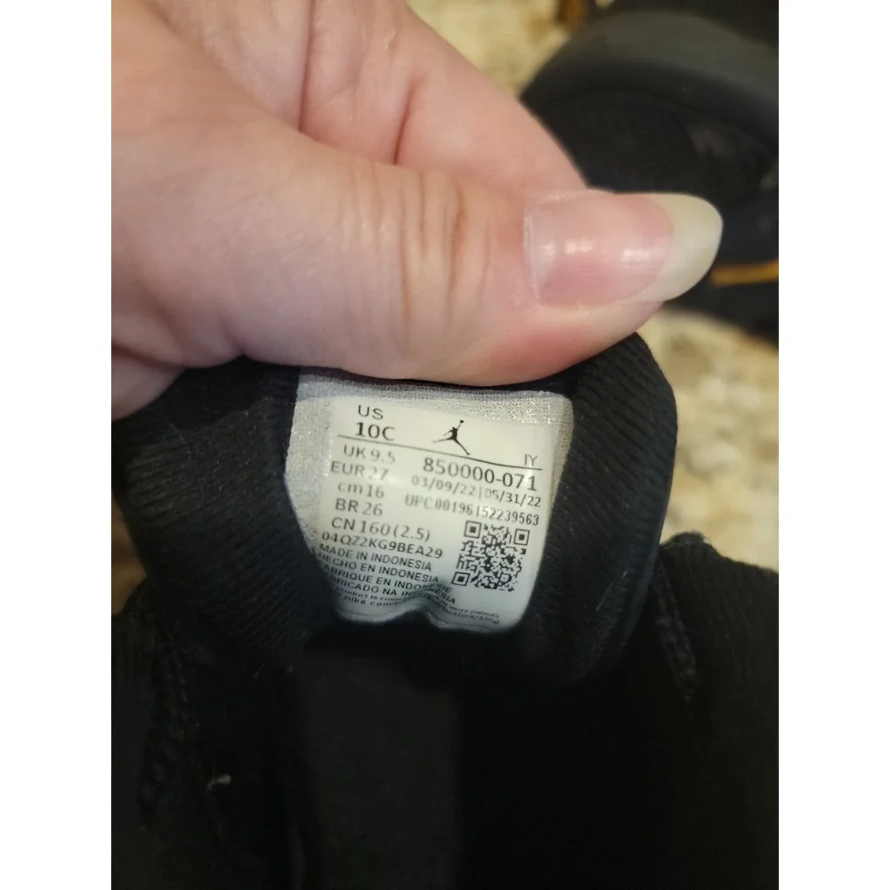 Jordan 12 retro